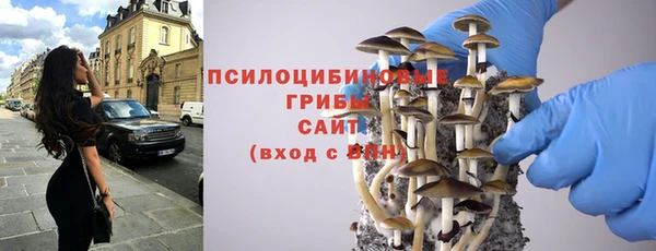 Альфа ПВП Губаха