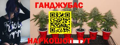 кокаин колумбия Бийск