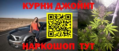 шишки Гагарин