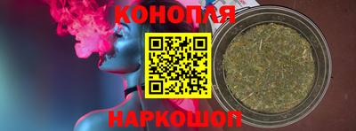 шишки Гагарин