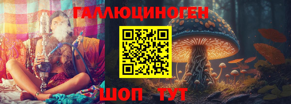 Псилоцибиновые грибы Psilocybe  Воронеж  Галлюциногенные грибы GOLDEN TEACHER 