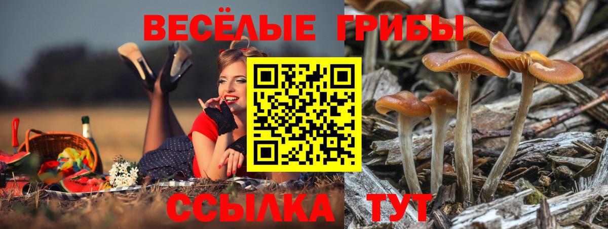 Псилоцибиновые грибы ЛСД  Вход с VPN  Воронеж 