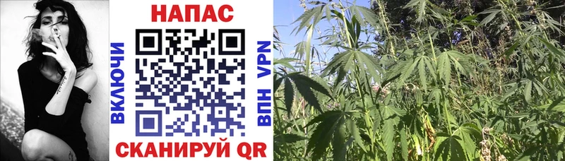 Канабис LSD WEED  цены   Воронеж 
